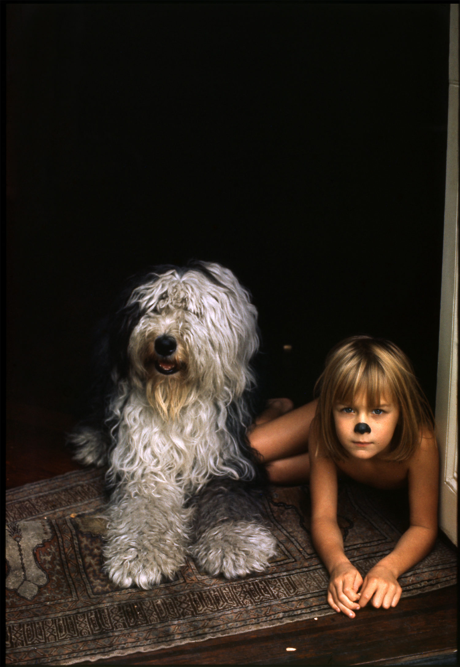 Linda S Pictures Archives Linda Mccartney